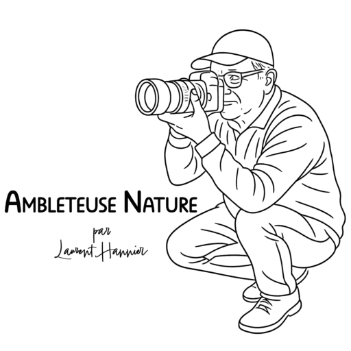 logo 2025